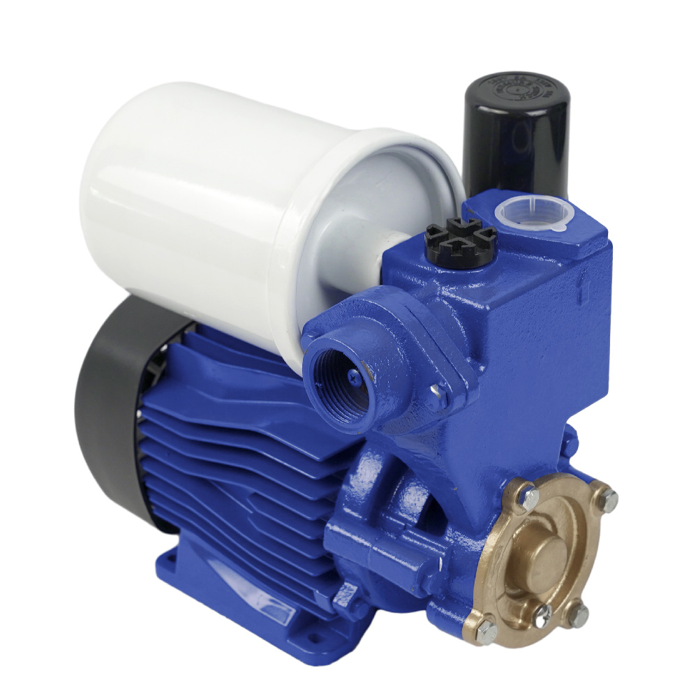 Automatic Booster Pump with Cover -PS130